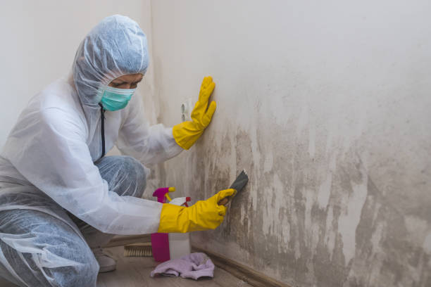 Best Biohazard Mold Removal  in , VA